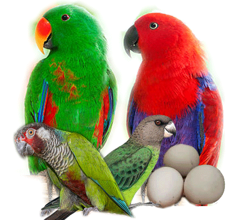 slider-img